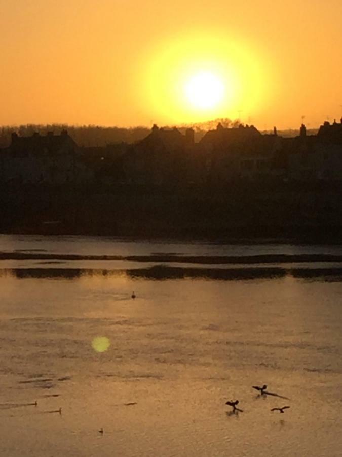 Les Lumieres De La Loire Apartment