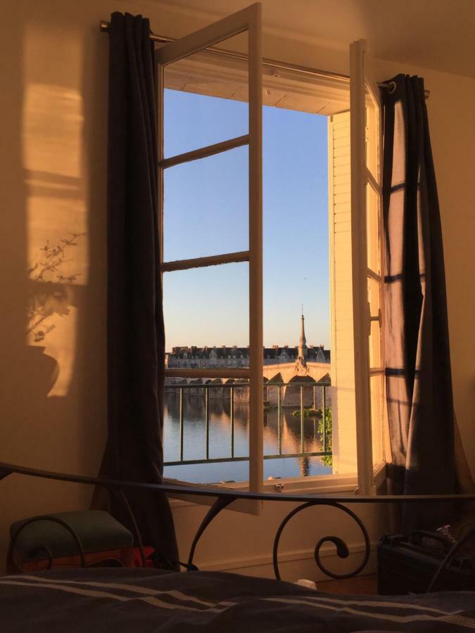 Les Lumieres De La Loire Apartment
