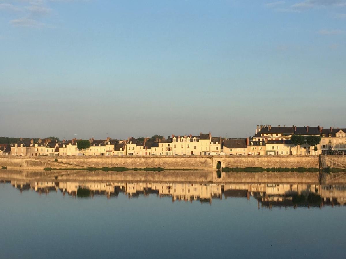 Les Lumieres De La Loire Apartment *